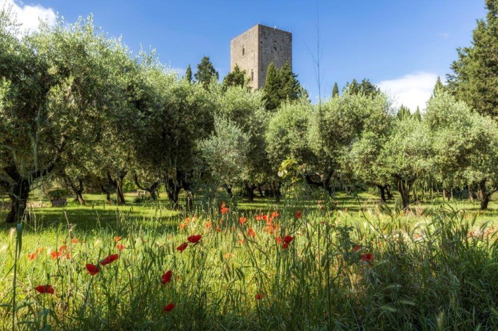 מונטה קטיני ואל די צ'צ'ינה Torre Dei Belforti מראה חיצוני תמונה