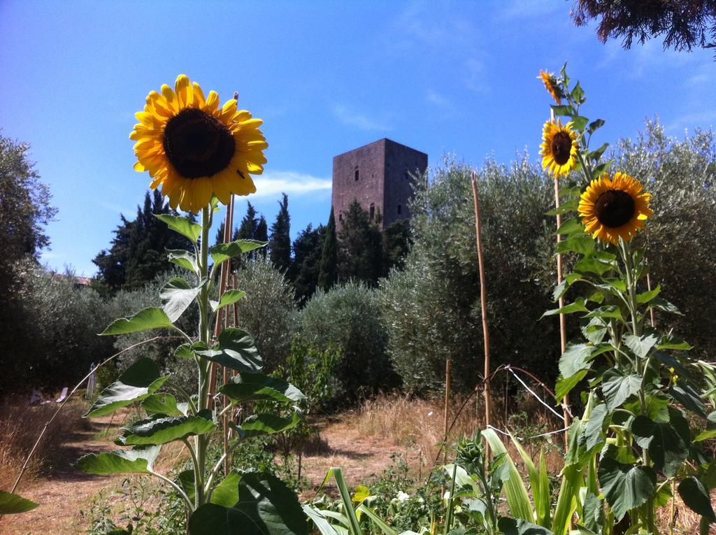 מונטה קטיני ואל די צ'צ'ינה Torre Dei Belforti מראה חיצוני תמונה